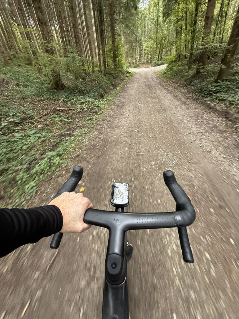 A view over the handlebars on a forest ride