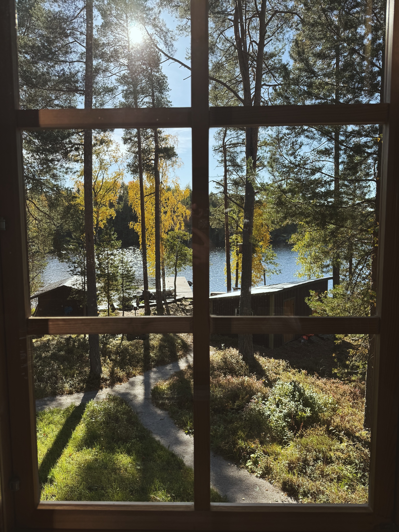 Trees and a lake through a cabin window